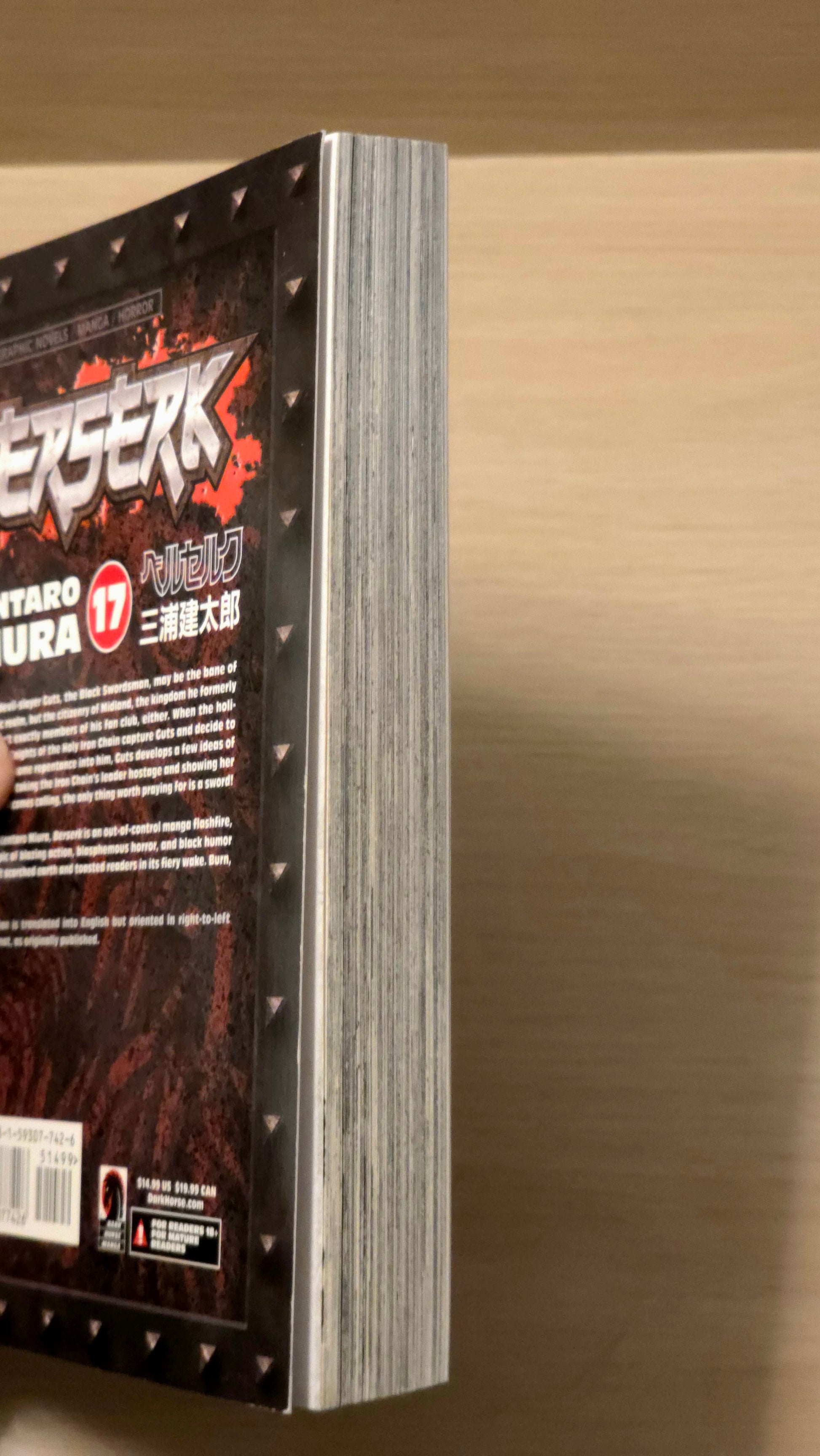 Berserk. Volume 17