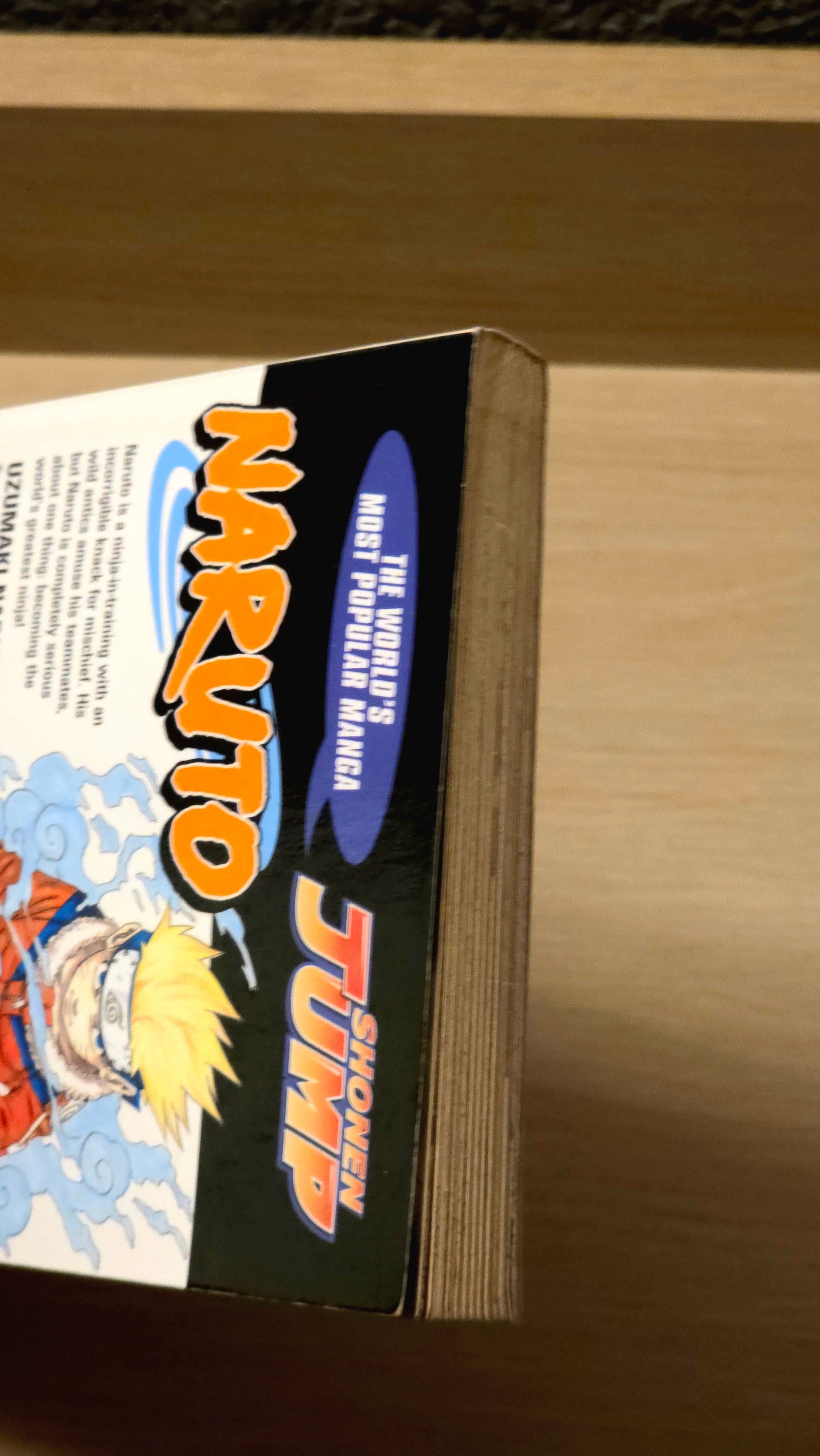 Naruto. Volume 1
